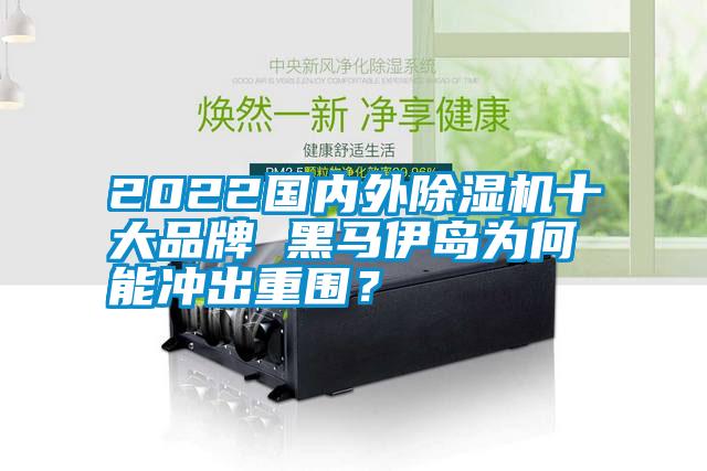 2022國內(nèi)外除濕機(jī)十大品牌 黑馬伊島為何能沖出重圍？