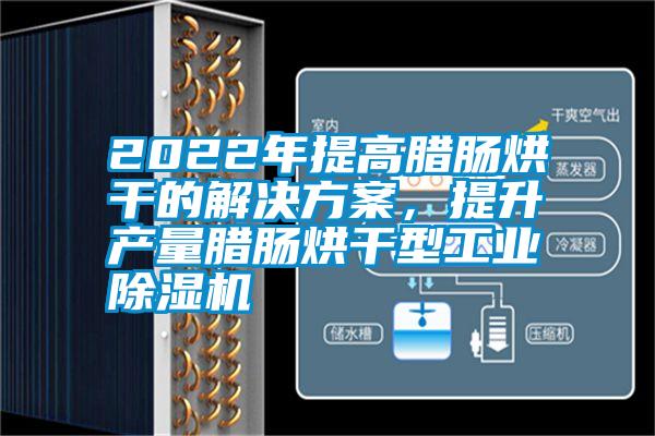 2022年提高臘腸烘干的解決方案，提升產(chǎn)量臘腸烘干型工業(yè)除濕機(jī)