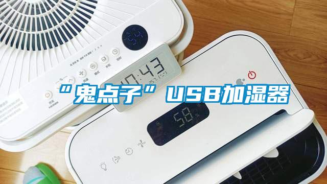 “鬼點(diǎn)子”USB加濕器