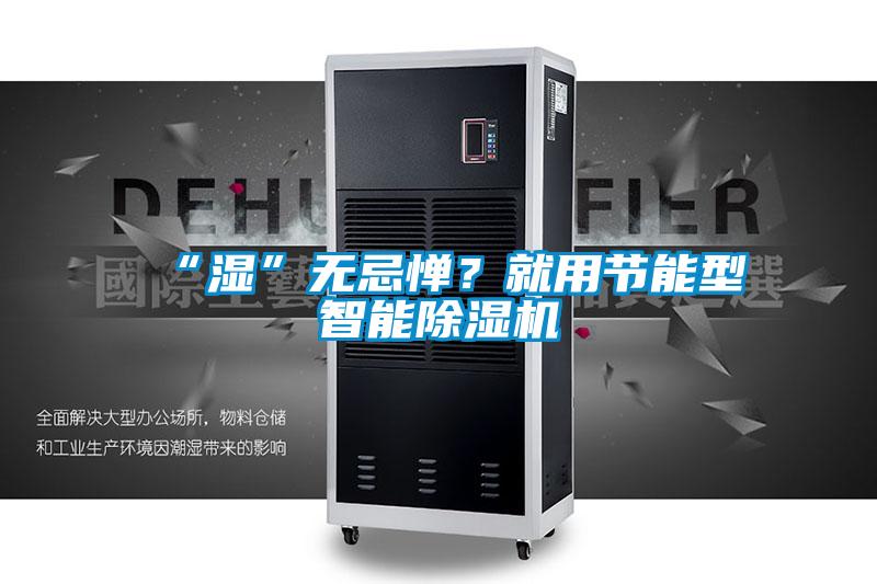 “濕”無忌憚？就用節(jié)能型智能除濕機