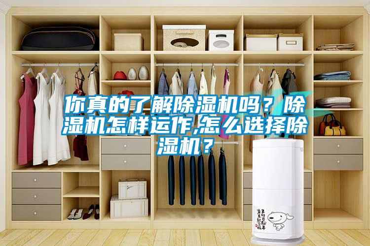 你真的了解除濕機嗎？除濕機怎樣運作,怎么選擇除濕機？