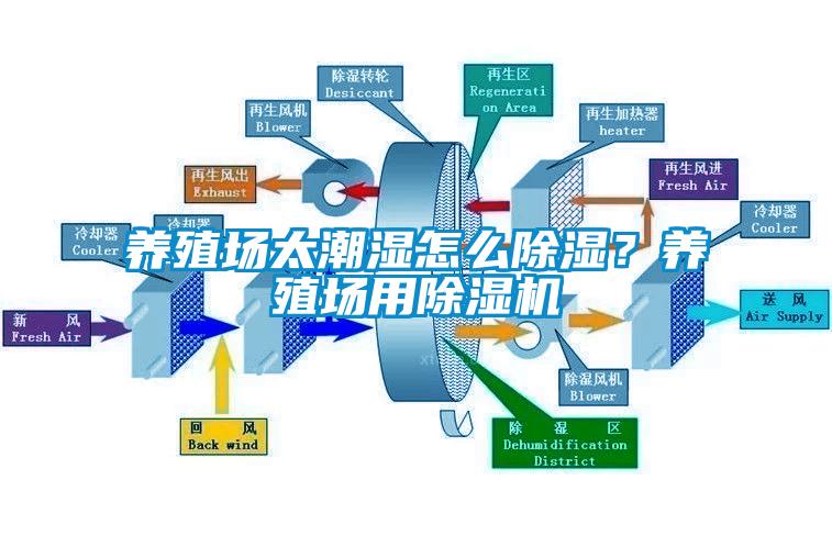 養(yǎng)殖場太潮濕怎么除濕？養(yǎng)殖場用除濕機