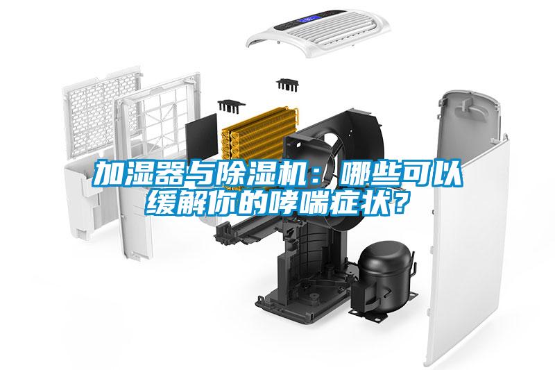 加濕器與除濕機(jī)：哪些可以緩解你的哮喘癥狀？