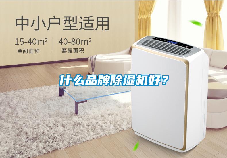 什么品牌除濕機(jī)好？