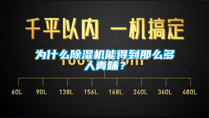 為什么除濕機能得到那么多人青睞？