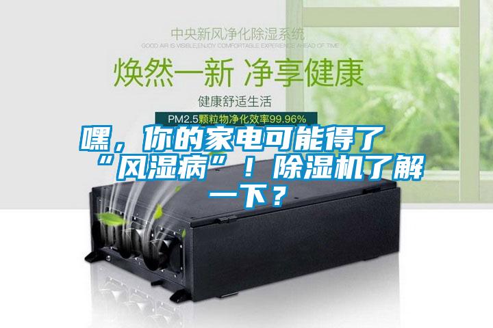 嘿，你的家電可能得了“風(fēng)濕病”！除濕機(jī)了解一下？