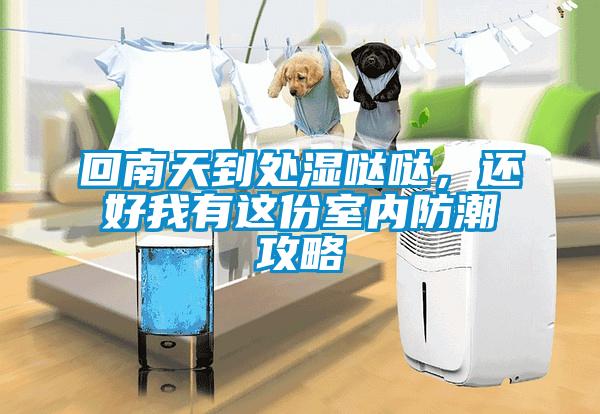 回南天到處濕噠噠，還好我有這份室內(nèi)防潮攻略