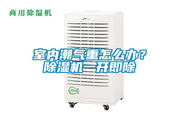 室內(nèi)潮氣重怎么辦？除濕機(jī)一開即除