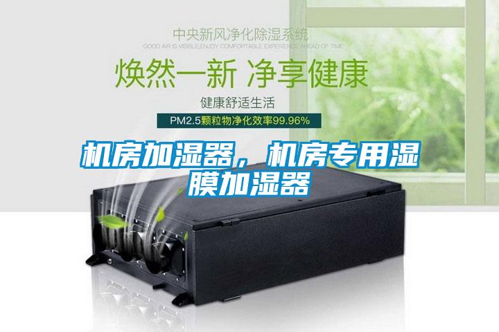 機(jī)房加濕器，機(jī)房專(zhuān)用濕膜加濕器