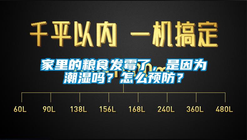 家里的糧食發(fā)霉了，是因?yàn)槌睗駟幔吭趺搭A(yù)防？