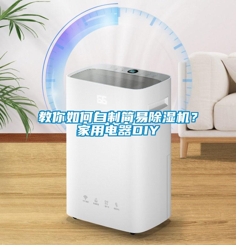 教你如何自制簡易除濕機？家用電器DIY