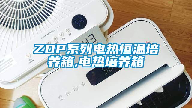 ZDP系列電熱恒溫培養(yǎng)箱,電熱培養(yǎng)箱