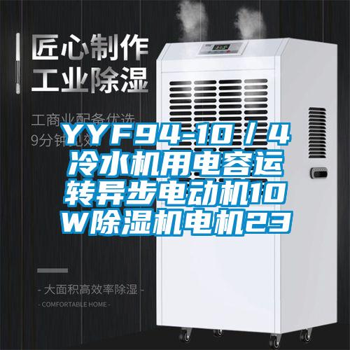 YYF94-10／4冷水機(jī)用電容運(yùn)轉(zhuǎn)異步電動機(jī)10W除濕機(jī)電機(jī)23