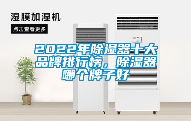 2022年除濕器十大品牌排行榜，除濕器哪個(gè)牌子好