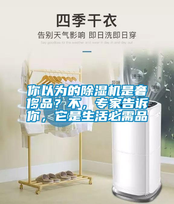 你以為的除濕機(jī)是奢侈品？不，專家告訴你，它是生活必需品