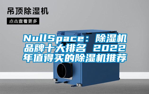 NullSpace：除濕機(jī)品牌十大排名 2022年值得買的除濕機(jī)推薦