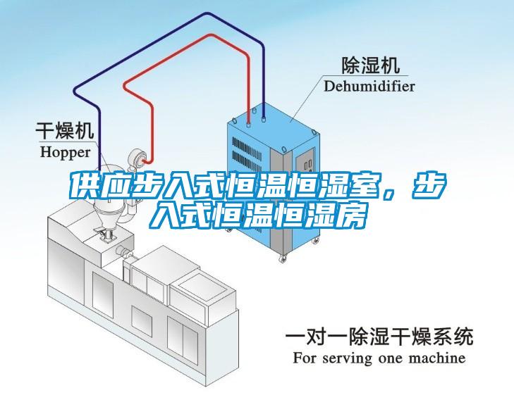 供應(yīng)步入式恒溫恒濕室，步入式恒溫恒濕房