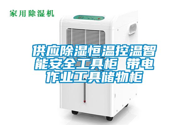 供應除濕恒溫控溫智能安全工具柜 帶電作業(yè)工具儲物柜