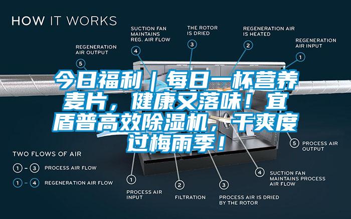 今日福利｜每日一杯營養(yǎng)麥片，健康又落味！宜盾普高效除濕機，干爽度過梅雨季！