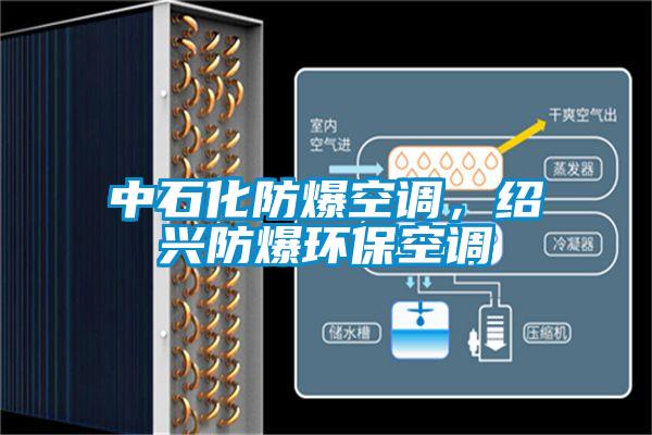 中石化防爆空調(diào)，紹興防爆環(huán)?？照{(diào)