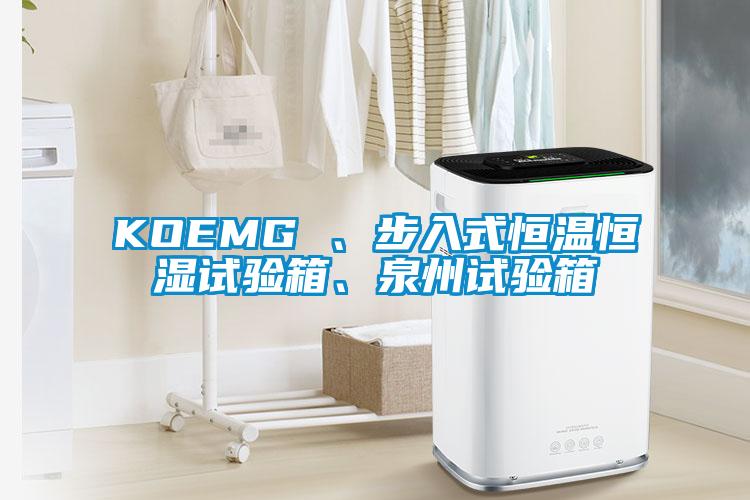 KOEMG 、步入式恒溫恒濕試驗箱、泉州試驗箱