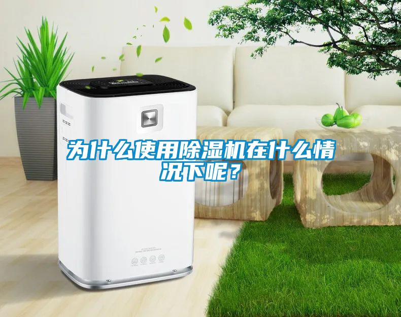 為什么使用除濕機(jī)在什么情況下呢？