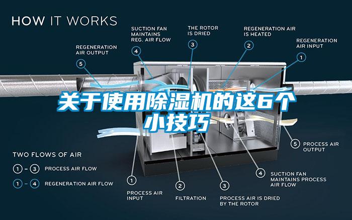 關(guān)于使用除濕機的這6個小技巧