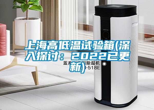 上海高低溫試驗(yàn)箱(深入探討：2022已更新)