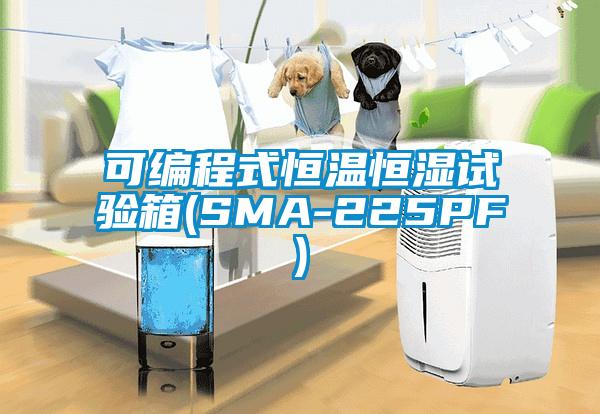 可編程式恒溫恒濕試驗(yàn)箱(SMA-225PF)