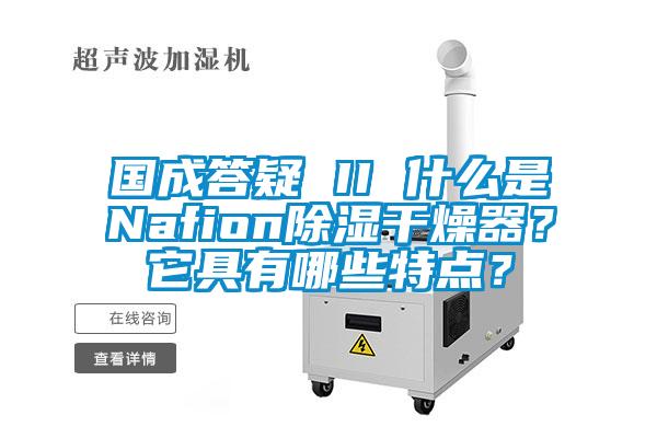 國成答疑 II 什么是Nafion除濕干燥器？它具有哪些特點？