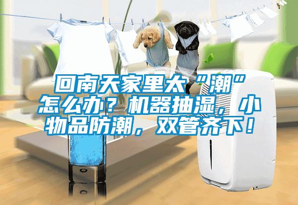 回南天家里太“潮”怎么辦？機(jī)器抽濕，小物品防潮，雙管齊下！