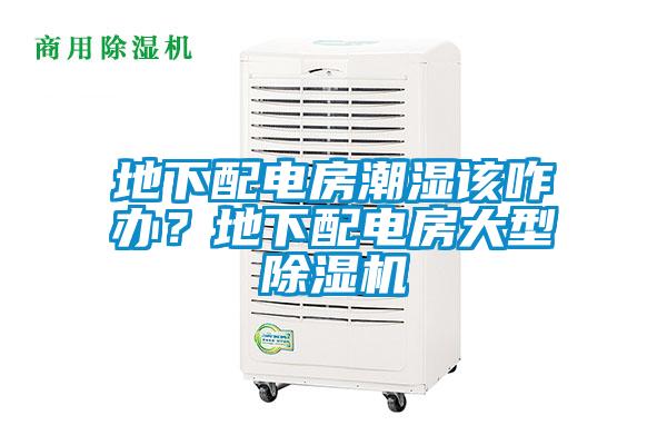 地下配電房潮濕該咋辦？地下配電房大型除濕機(jī)