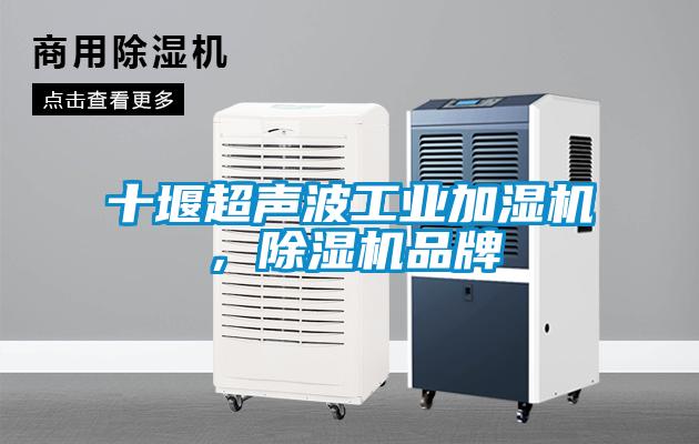 十堰超聲波工業(yè)加濕機(jī)，除濕機(jī)品牌