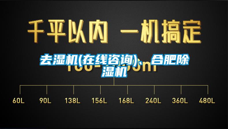 去濕機(jī)(在線咨詢)、合肥除濕機(jī)