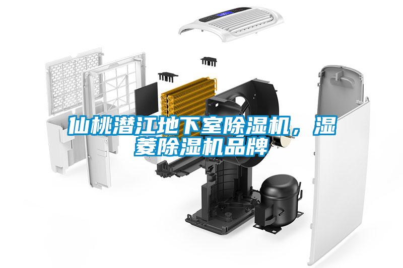 仙桃潛江地下室除濕機(jī)，濕菱除濕機(jī)品牌