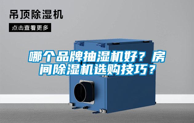 哪個品牌抽濕機(jī)好？房間除濕機(jī)選購技巧？