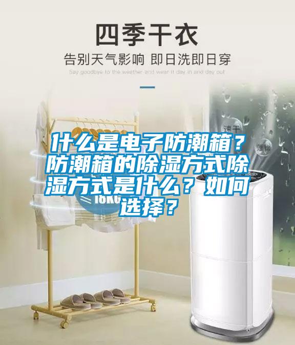 什么是電子防潮箱？防潮箱的除濕方式除濕方式是什么？如何選擇？