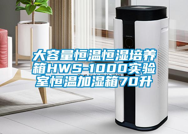 大容量恒溫恒濕培養(yǎng)箱HWS-1000實驗室恒溫加濕箱70升