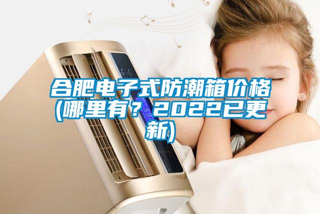 合肥電子式防潮箱價格(哪里有？2022已更新)