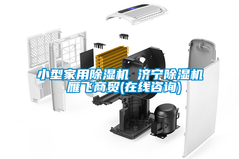 小型家用除濕機 濟寧除濕機 雁飛商貿(mào)(在線咨詢)