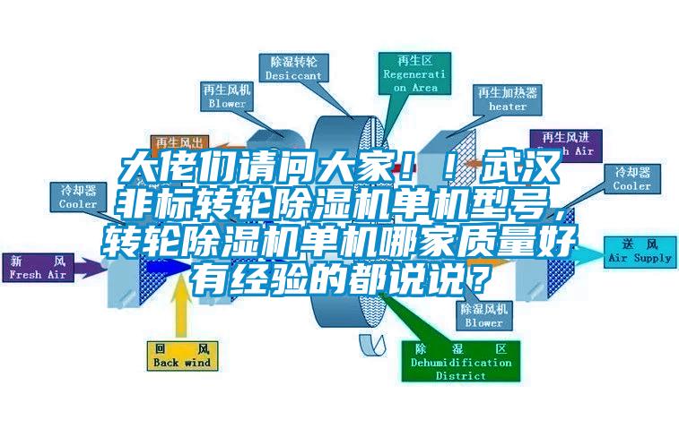 大佬們請問大家??！武漢非標(biāo)轉(zhuǎn)輪除濕機單機型號，轉(zhuǎn)輪除濕機單機哪家質(zhì)量好有經(jīng)驗的都說說？