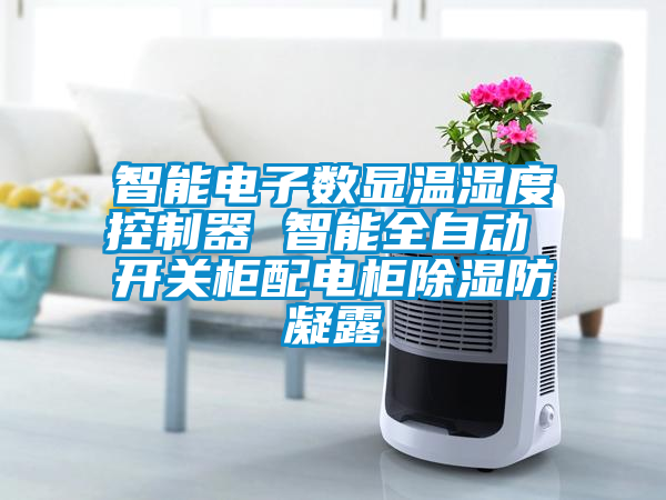 智能電子數顯溫濕度控制器 智能全自動 開關柜配電柜除濕防凝露