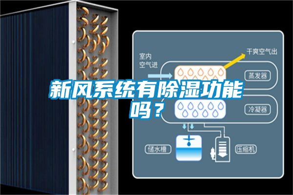 新風(fēng)系統(tǒng)有除濕功能嗎？
