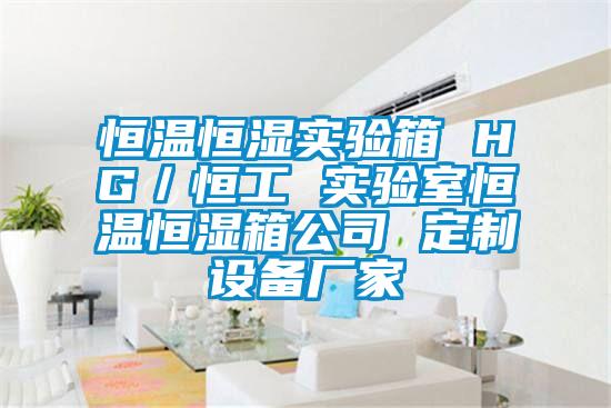 恒溫恒濕實驗箱 HG／恒工 實驗室恒溫恒濕箱公司 定制設(shè)備廠家