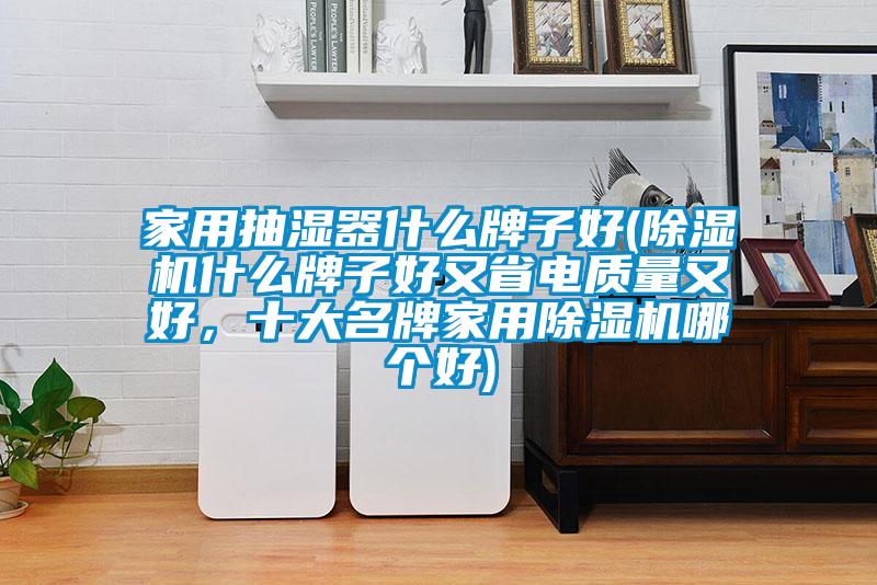 家用抽濕器什么牌子好(除濕機(jī)什么牌子好又省電質(zhì)量又好，十大名牌家用除濕機(jī)哪個好)