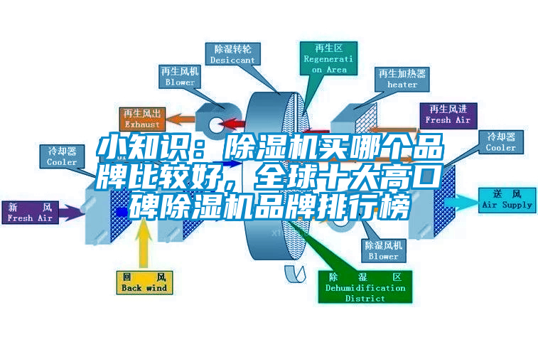 小知識：除濕機(jī)買哪個品牌比較好，全球十大高口碑除濕機(jī)品牌排行榜