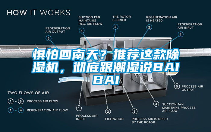 懼怕回南天？推薦這款除濕機，徹底跟潮濕說BAIBAI