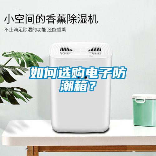 如何選購電子防潮箱？