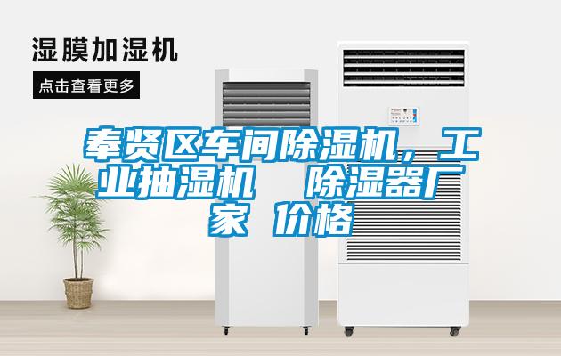 奉賢區(qū)車間除濕機，工業(yè)抽濕機  除濕器廠家 價格