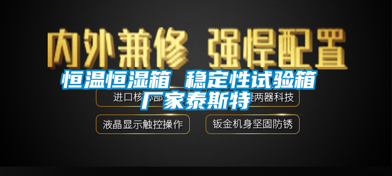 恒溫恒濕箱 穩(wěn)定性試驗箱 廠家泰斯特